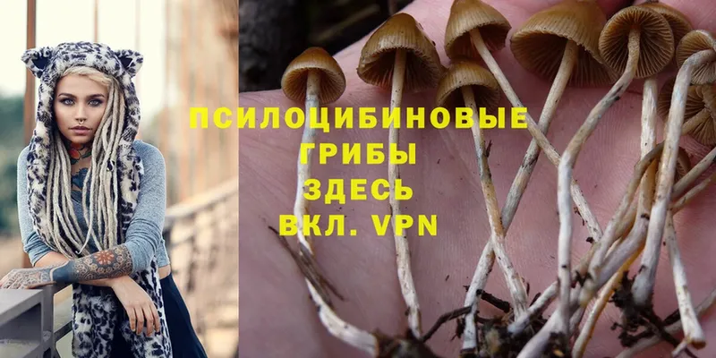 Галлюциногенные грибы MAGIC MUSHROOMS  OMG онион  Кологрив 